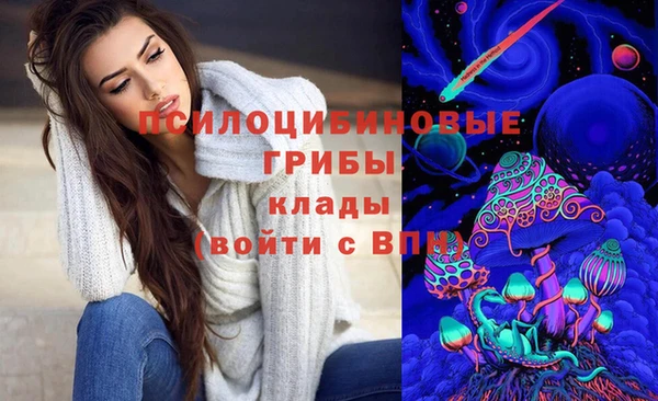 гашик Аркадак