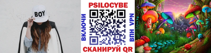 купить наркоту  Луховицы  Галлюциногенные грибы Psilocybe 